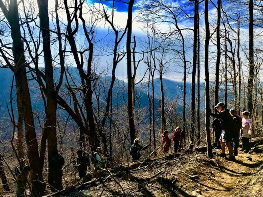 Another great day for a hike!
