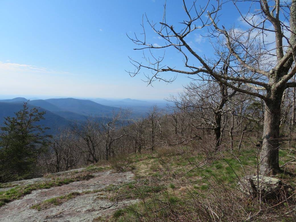 From the Cow Rock area!