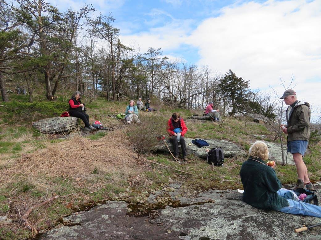 Our lunch spot. Cow Rock Mt.!