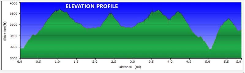 Our GPS Profile