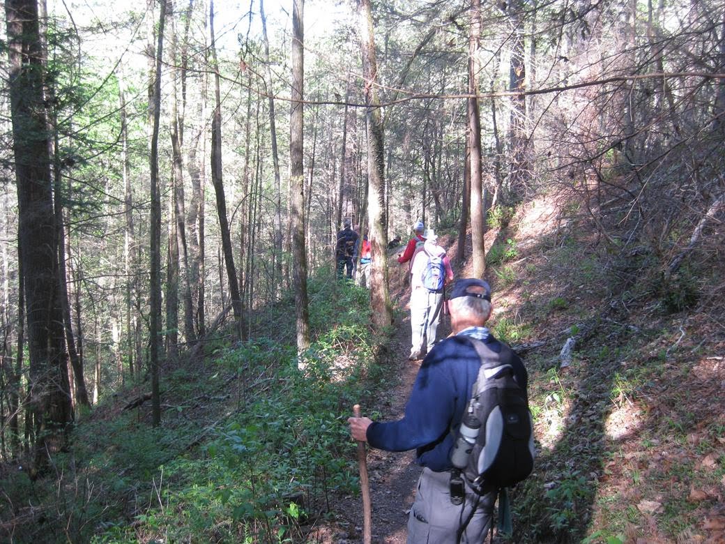 The trail is mostly downhill to Opossum Creek. We found out that it is uphill coming back!