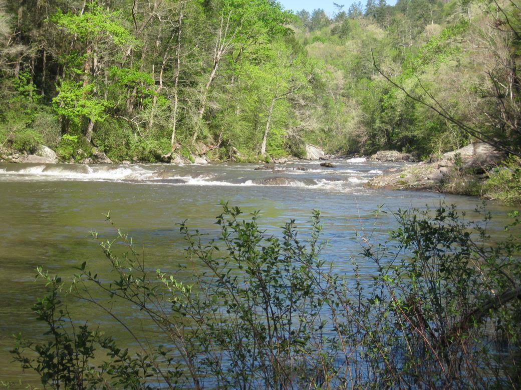 At the bottom, we arrive at the Chattooga River.