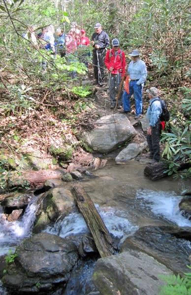 We turn left and head up toward Opossum Creek Falls. This is a tricky creek crossing.