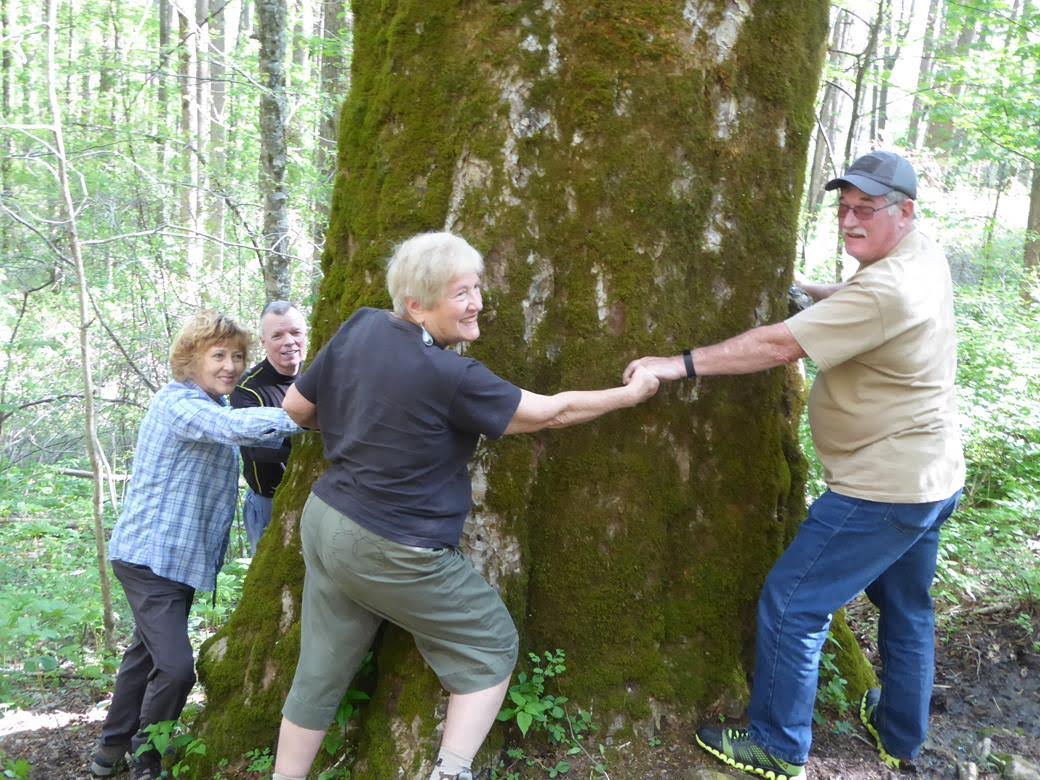 It takes at least five people to reach around it!