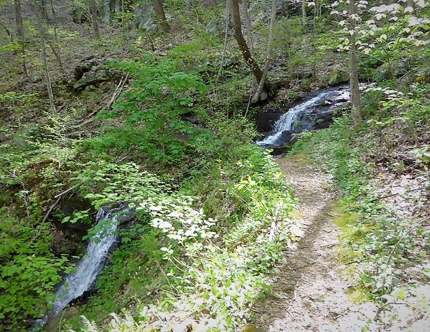 Next, on the Coosa Backcountry, we come to a two part Waterfall and the trail passes between them.