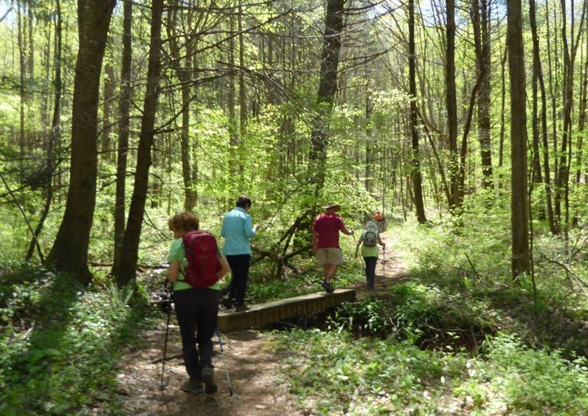 Crossing the footbridge at Wolf Creek.