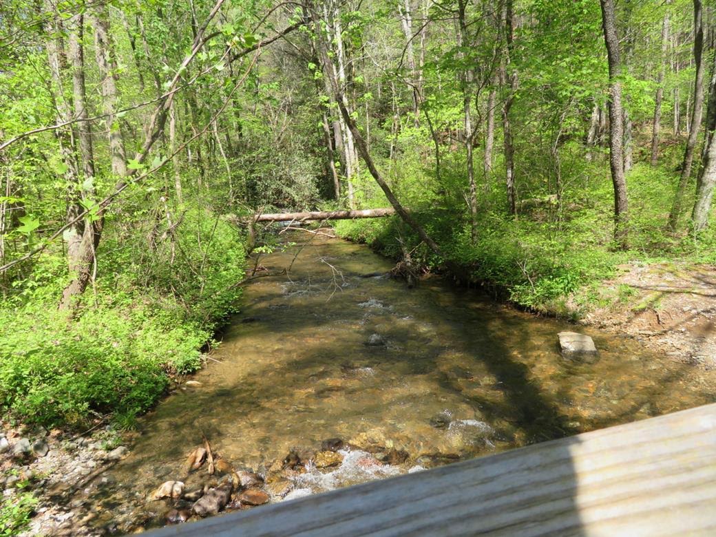 Wolf Creek