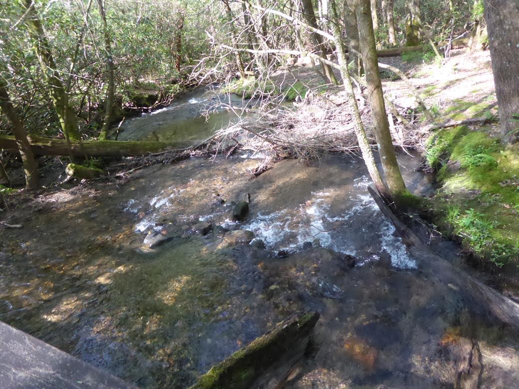 Crossing Slaughter Creek.
