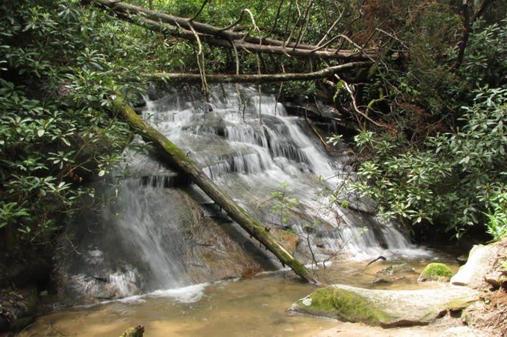 From the lake loop, we hike out the James Edmonds trail to this nice waterfall.