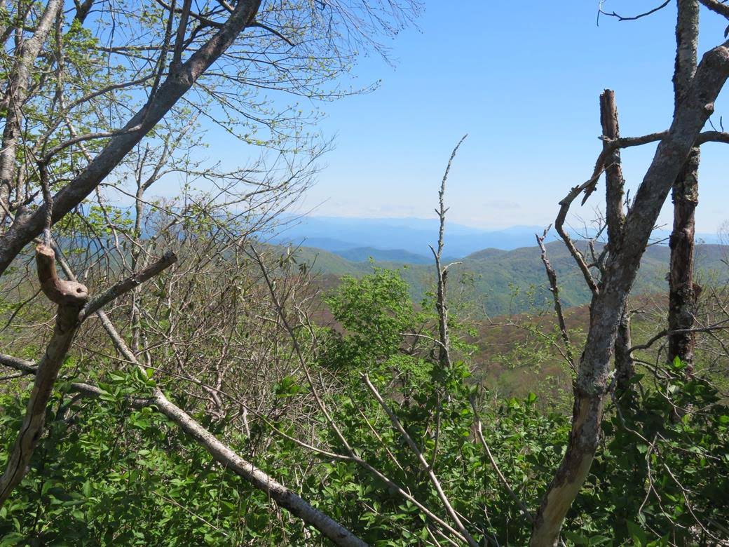 As we get closer to the summit, we start to get some good views!