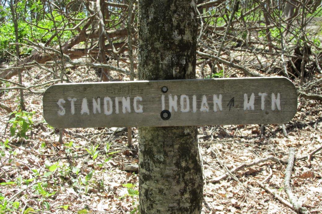 This is the marker for the side trail to the summit.