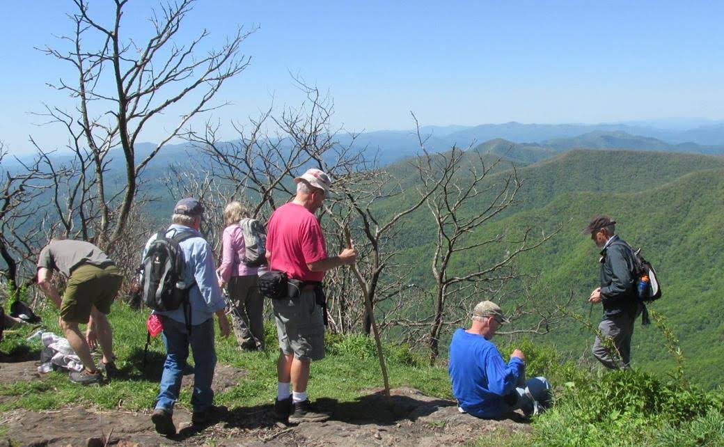 Our lunch spot today! The summit of 5,500 FT. Standing Indian Mt.