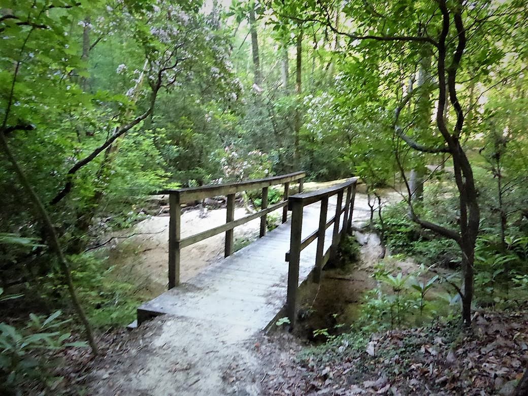 A beautiful woodland trail with footbridges where needed.