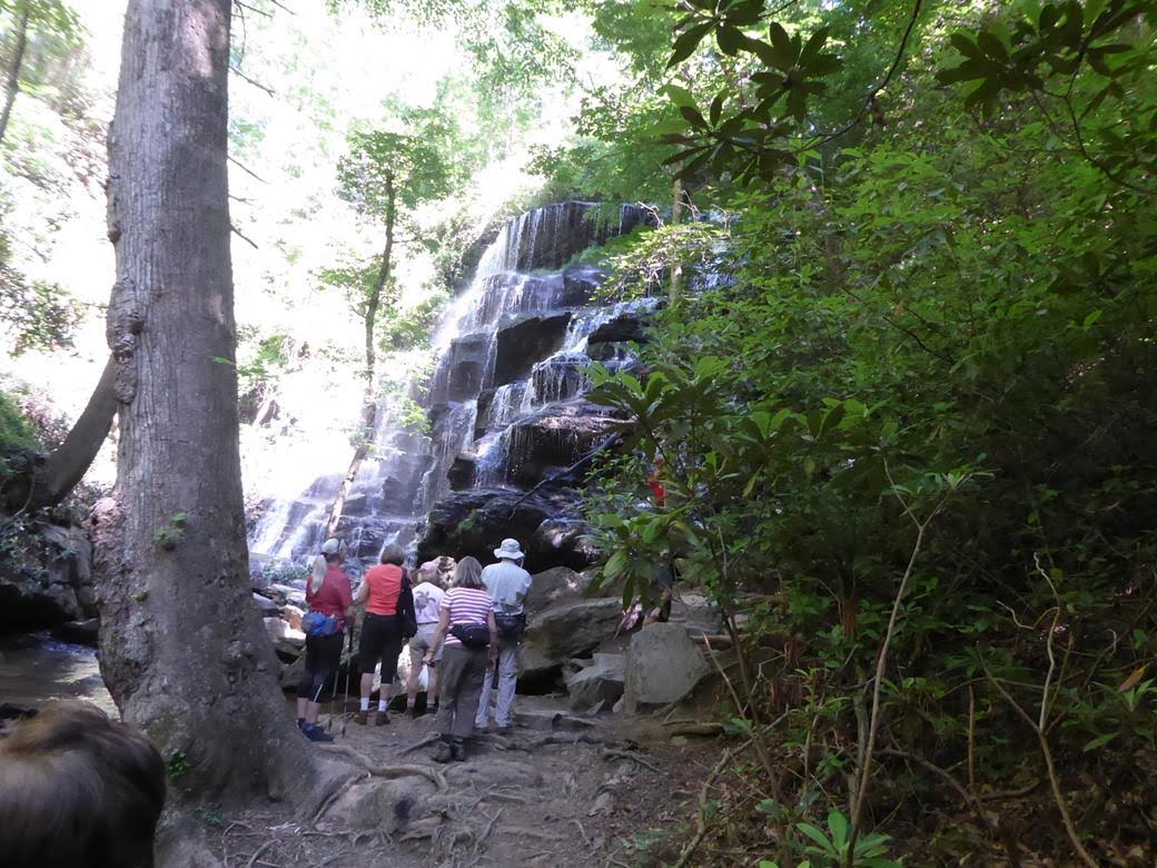 We arrive at beautiful Yellow Branch Falls!