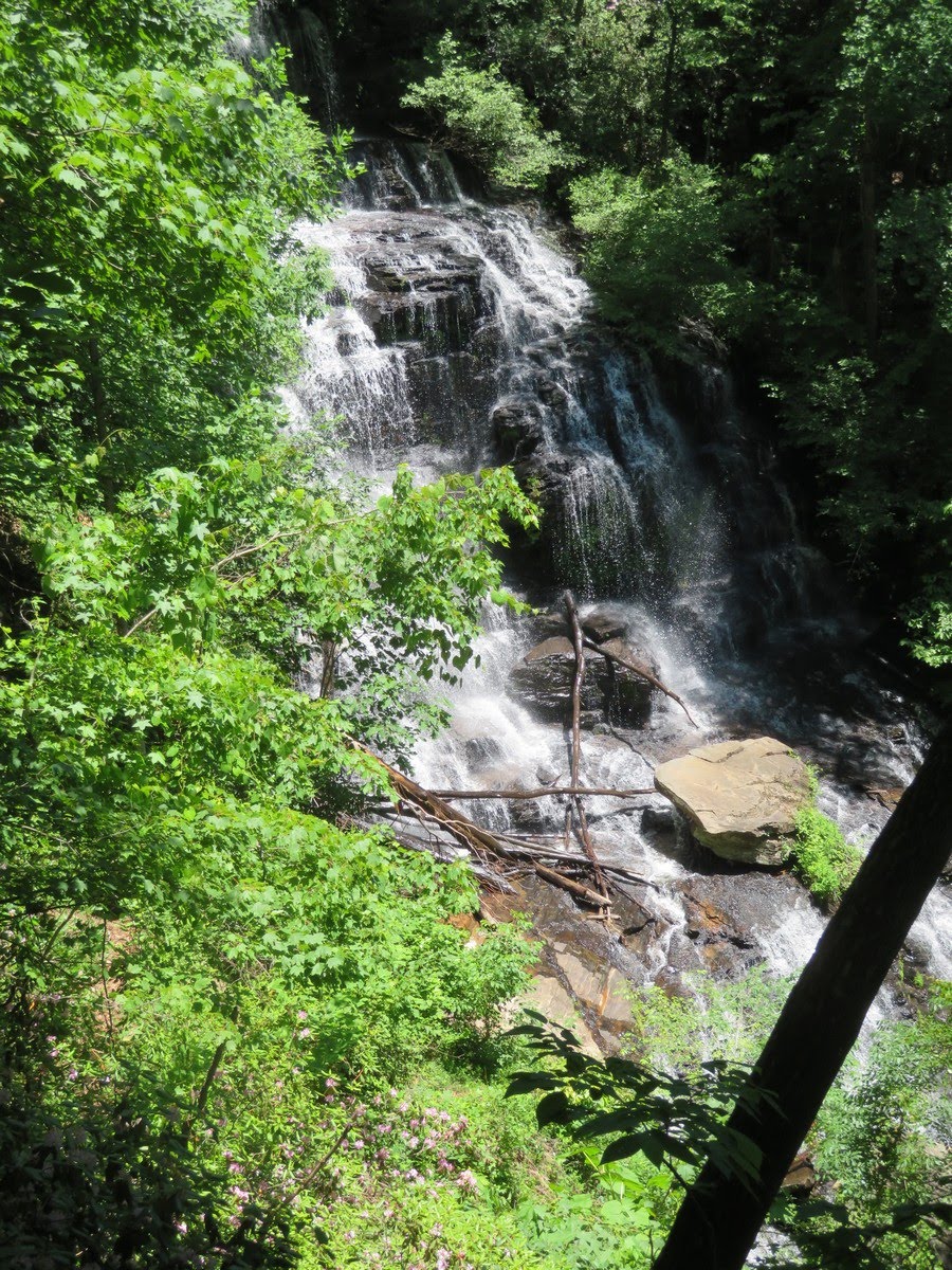 Next, we walk down to beautiful Issaqueena Falls.