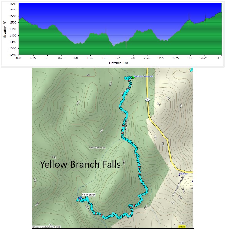 Our GPS data from Yellow Branch.