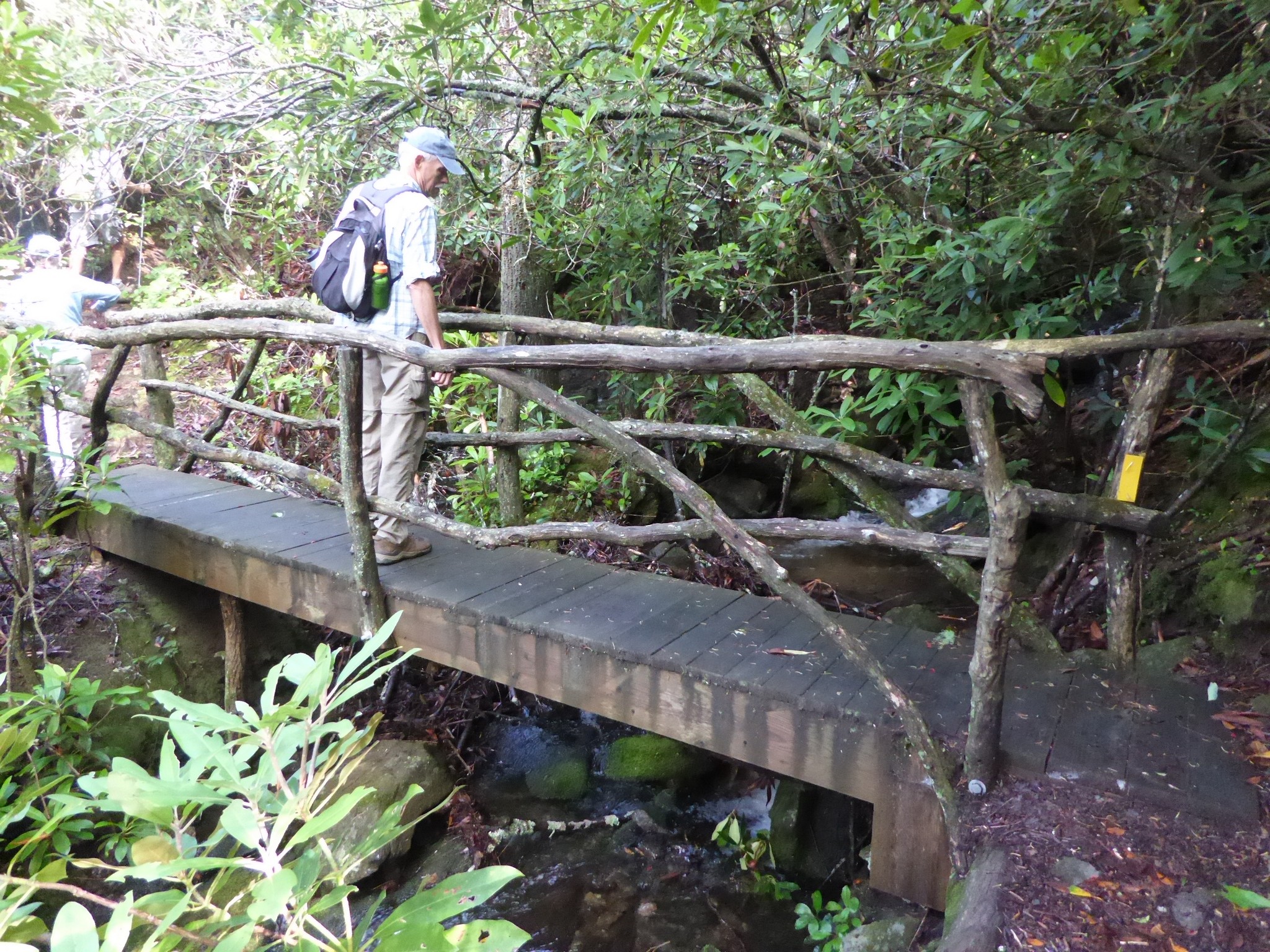Crossing a footbridge early into the hike.
