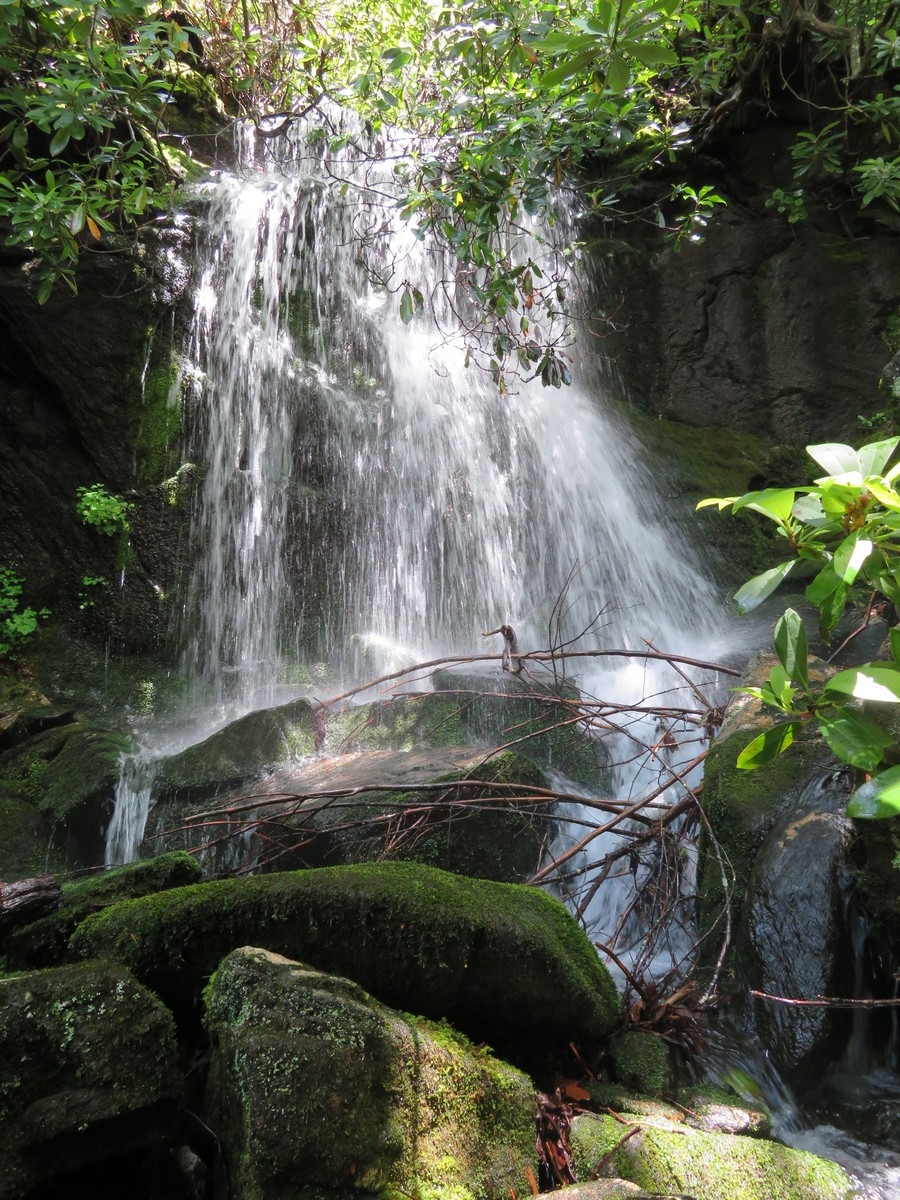 Pretty small falls on our way up the mountain.