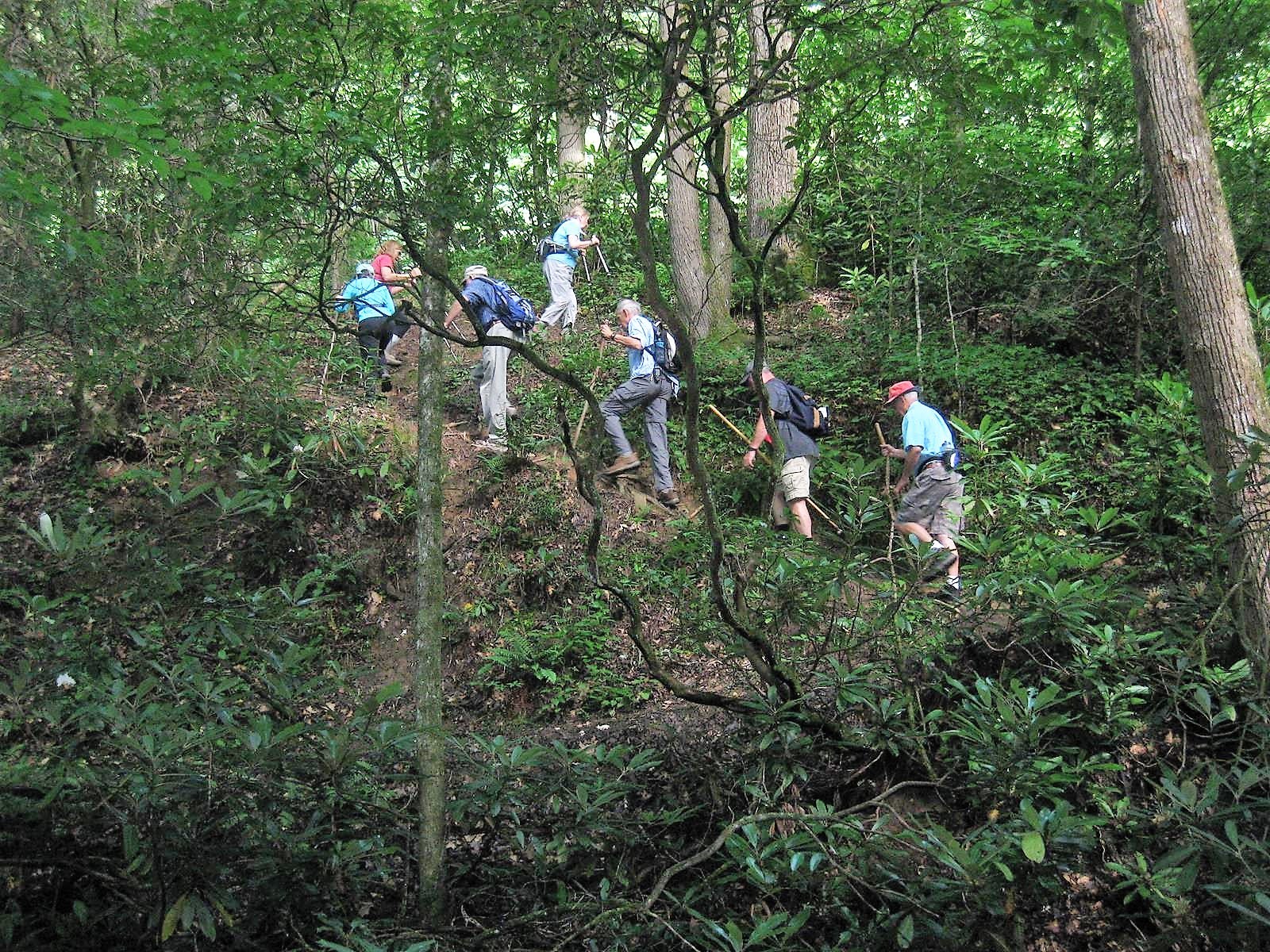 Taking the steep climb out of Warwoman Dell.