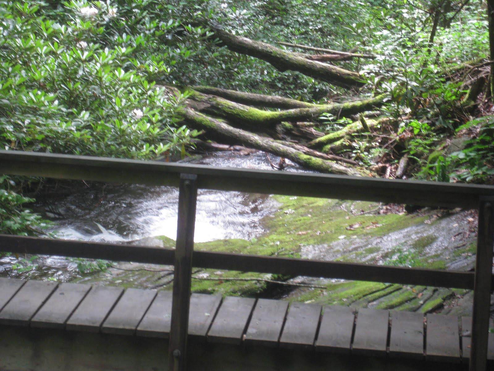 Footbridge across Martin Creek just below the falls.