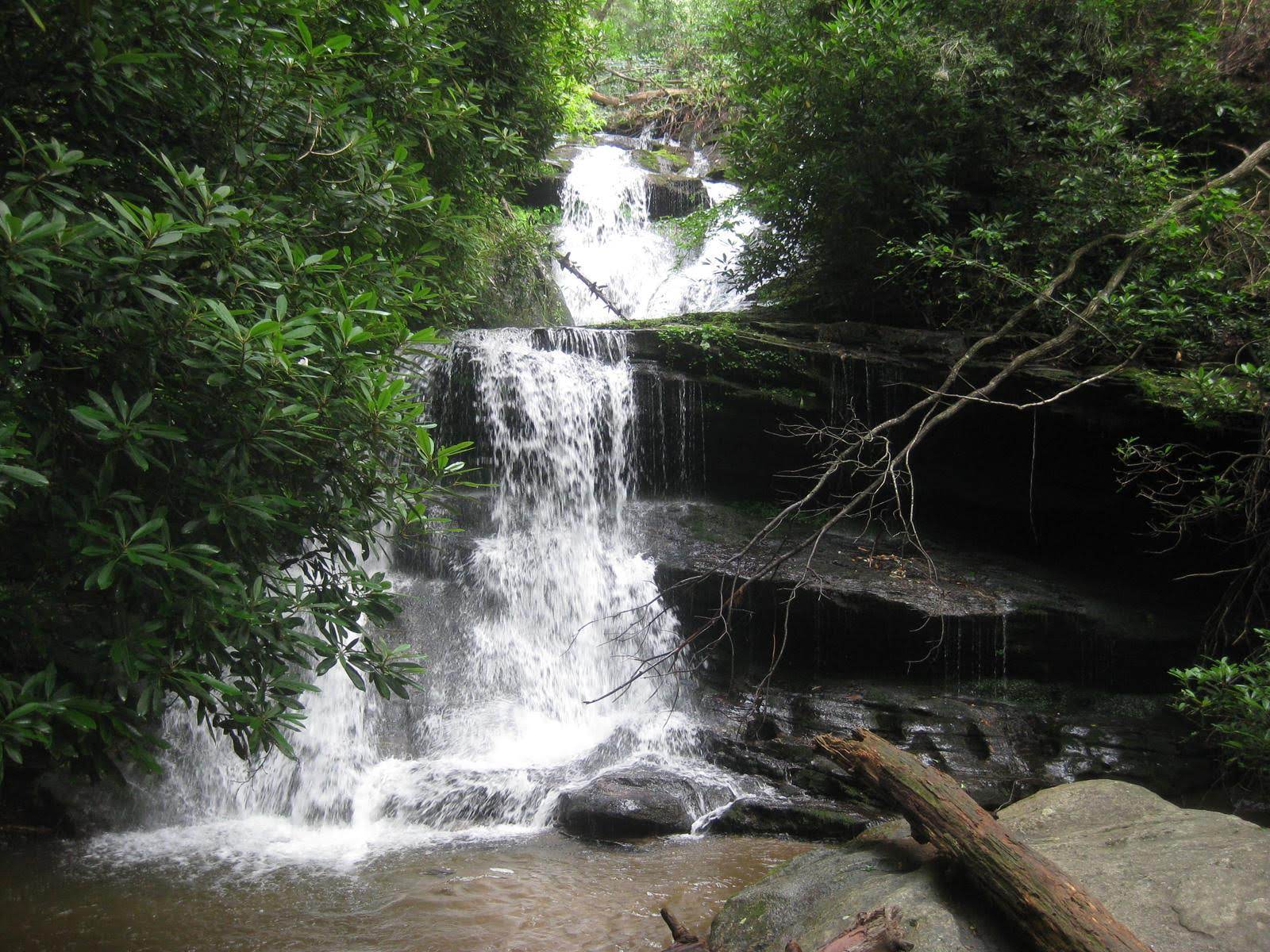 Beautiful Martin Creek Falls.