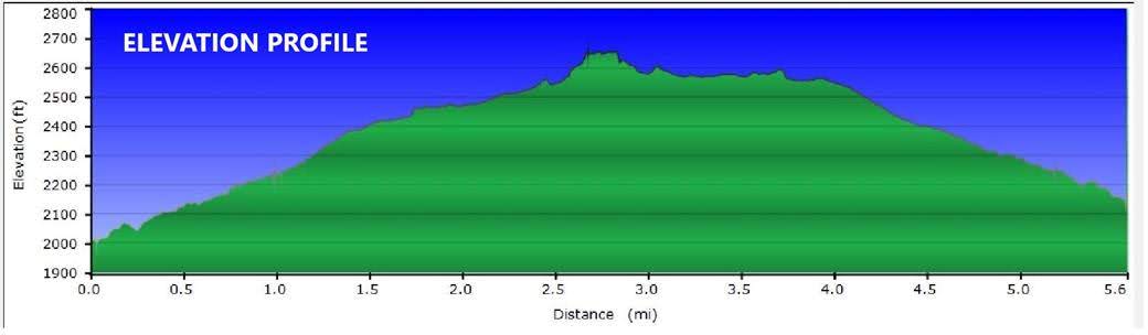 Our Elevation Profile.