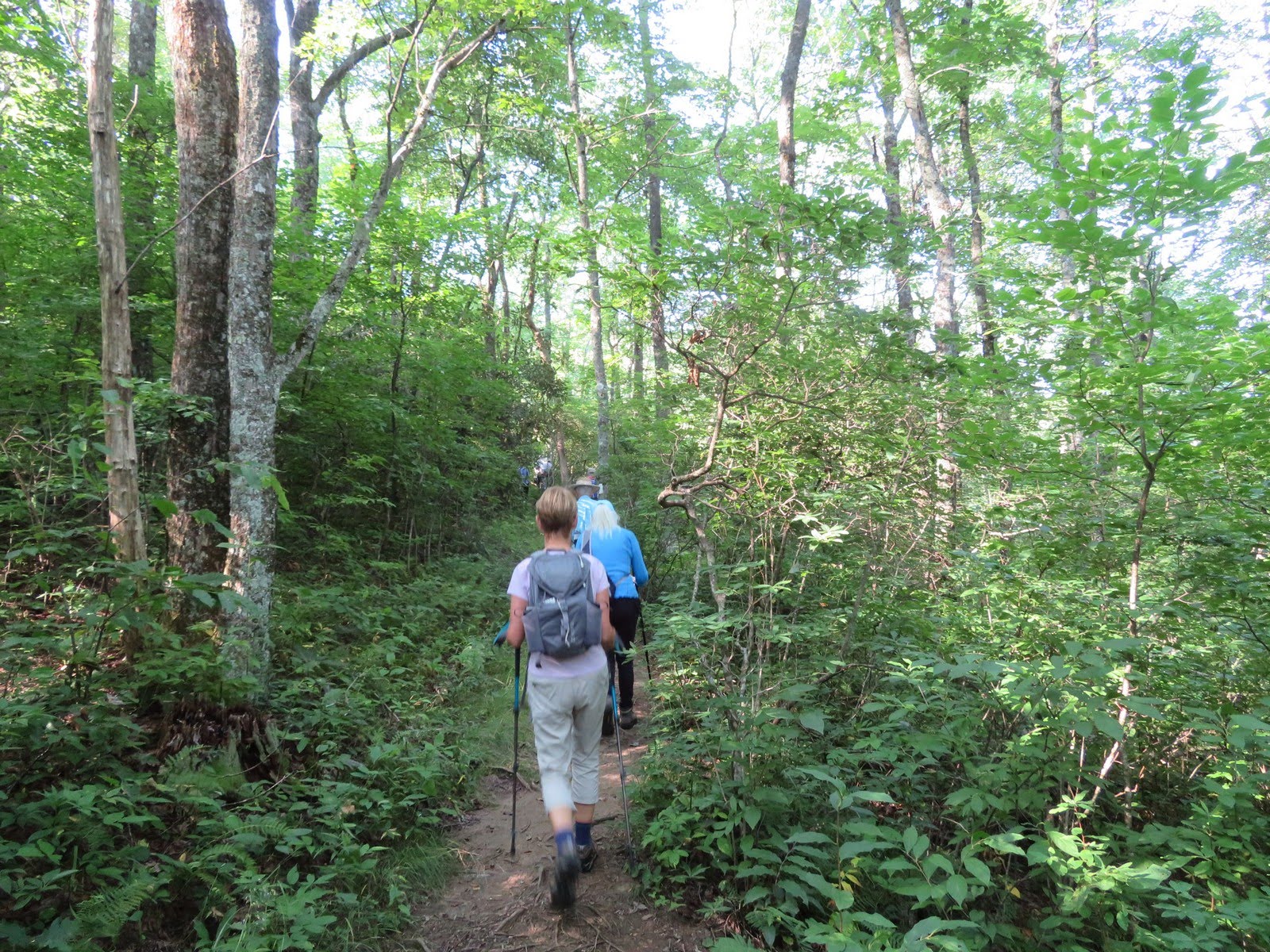 Headed up the A.T. to Siler Bald.