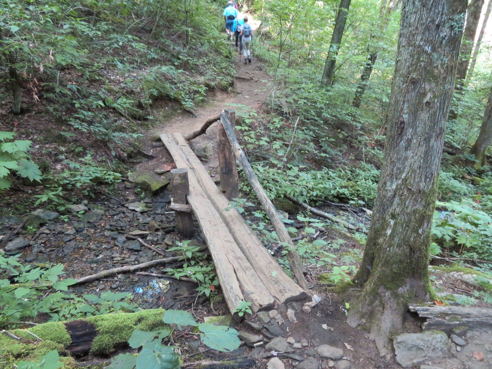 Primitive little footbridge.