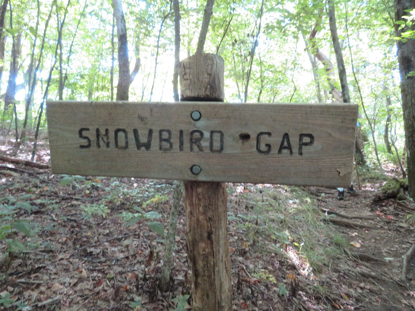 The gap just below Siler Bald.