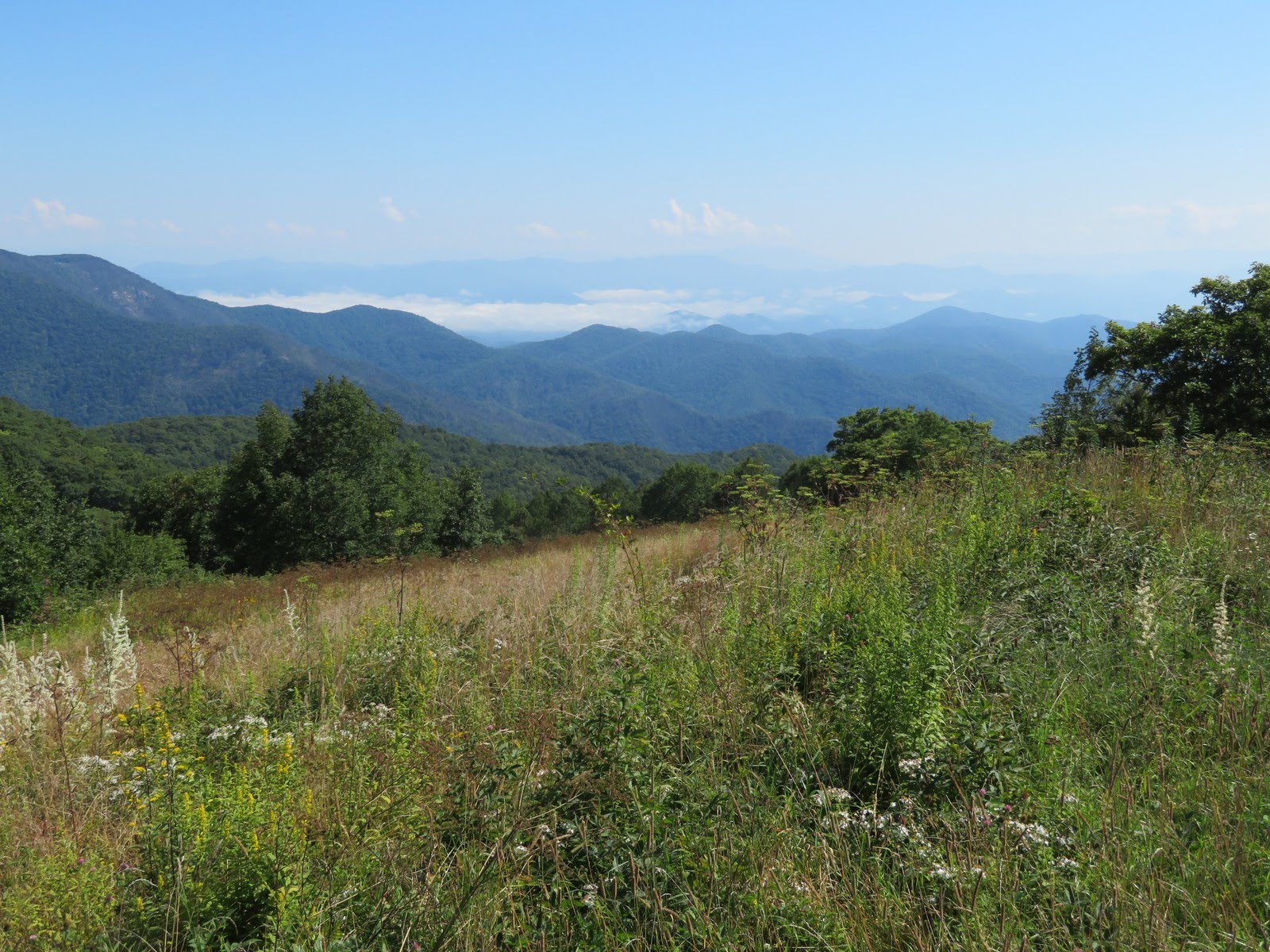 The grassy slope at Siler Bald.