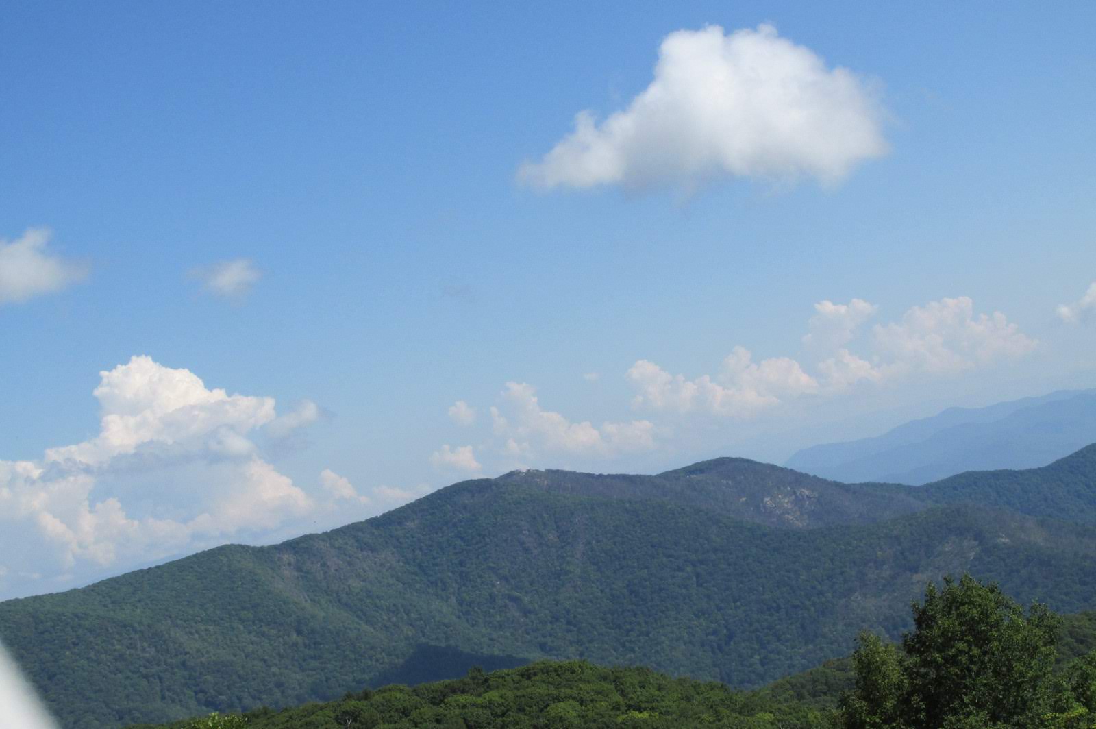 Looking across to Winespring Bald