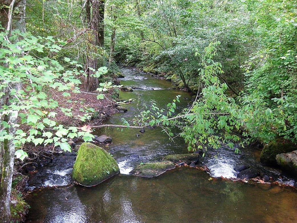 Beautiful Smith Creek