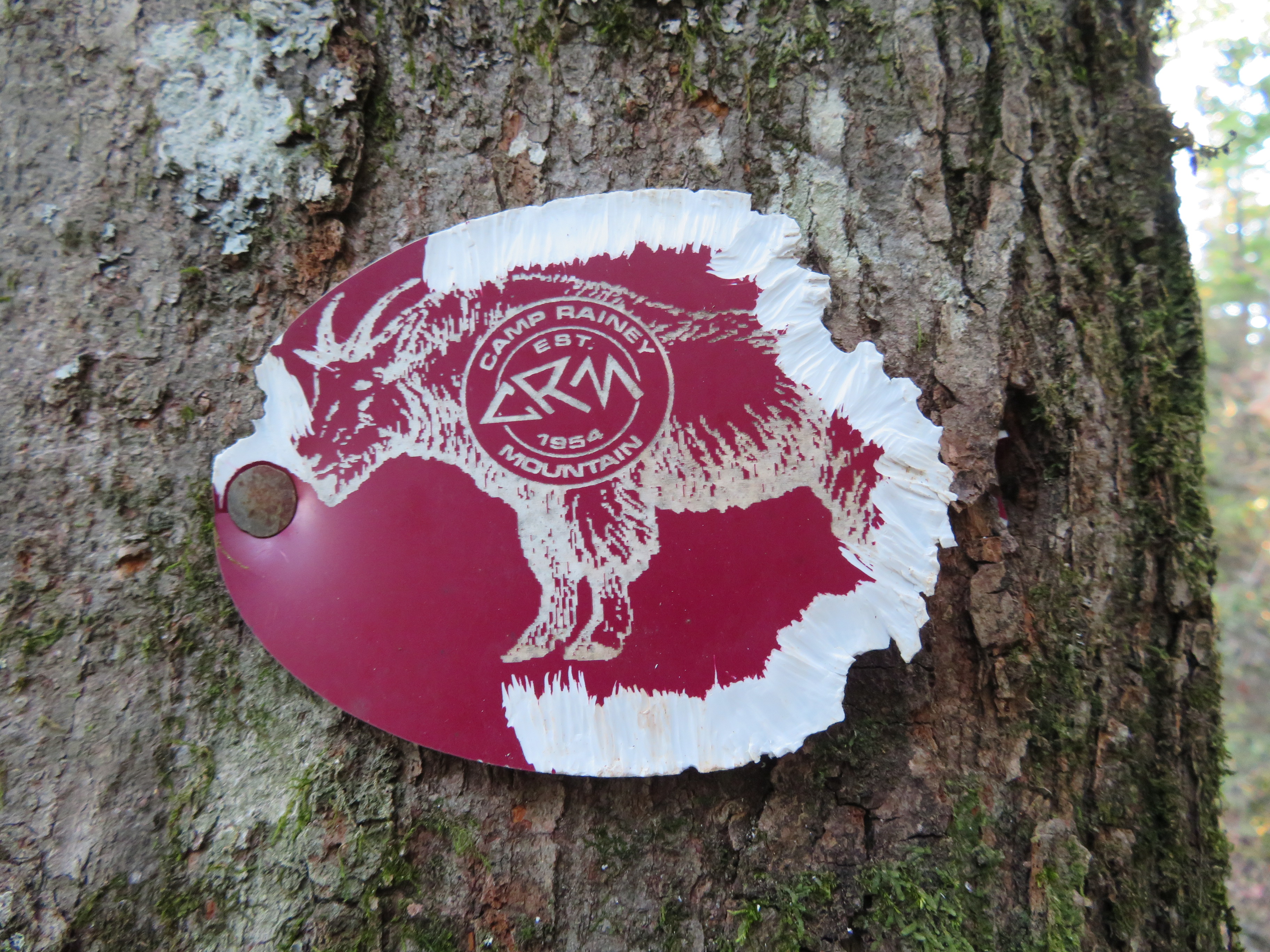 Trail marker for the Goat Trail "Boy Scout trail to Big Rock"