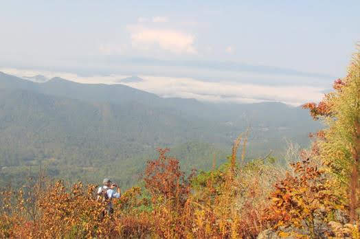 Beautiful views from Jones Knob