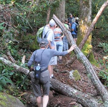 Another great day for a hike!