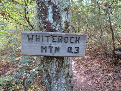 The side trail to Whiterock Mt.