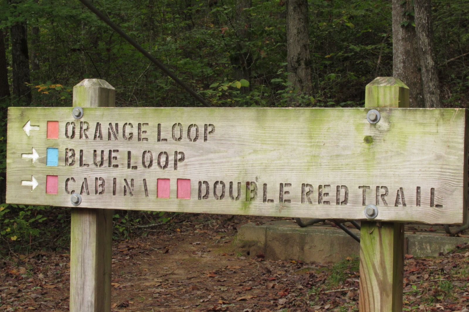 Nice trail signs show the way.