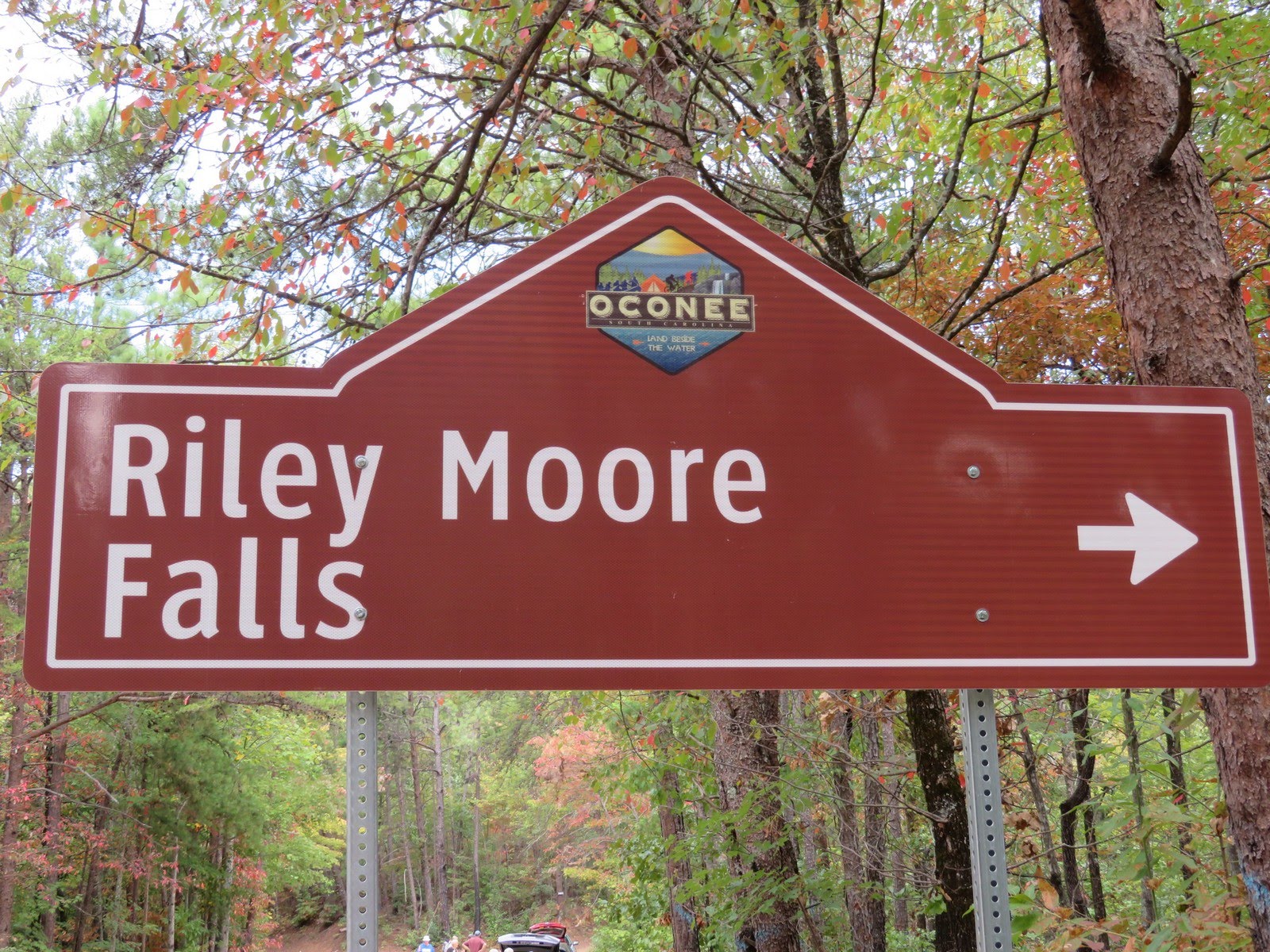 Next, we drive up the road for a hike to Riley Moore Falls.