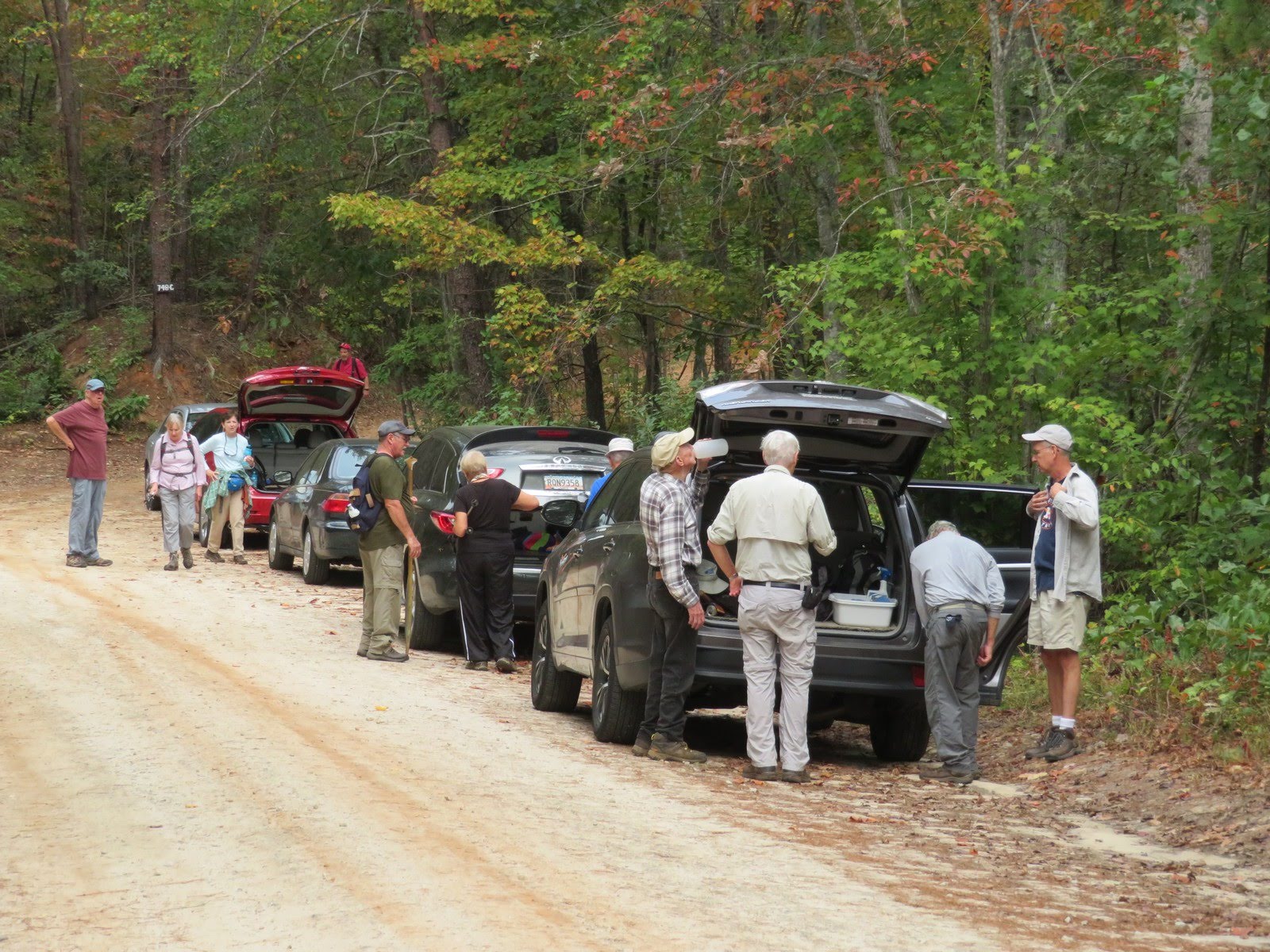 Parking on the access road to the Riley Moore Falls Trail.