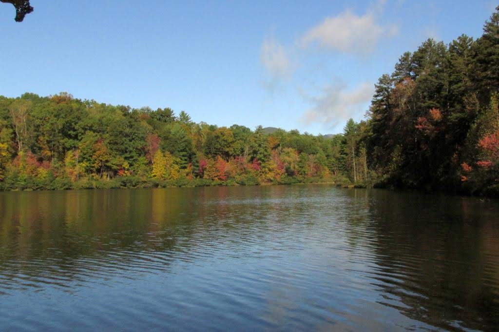 The leaves are starting to show signs of Autumn.