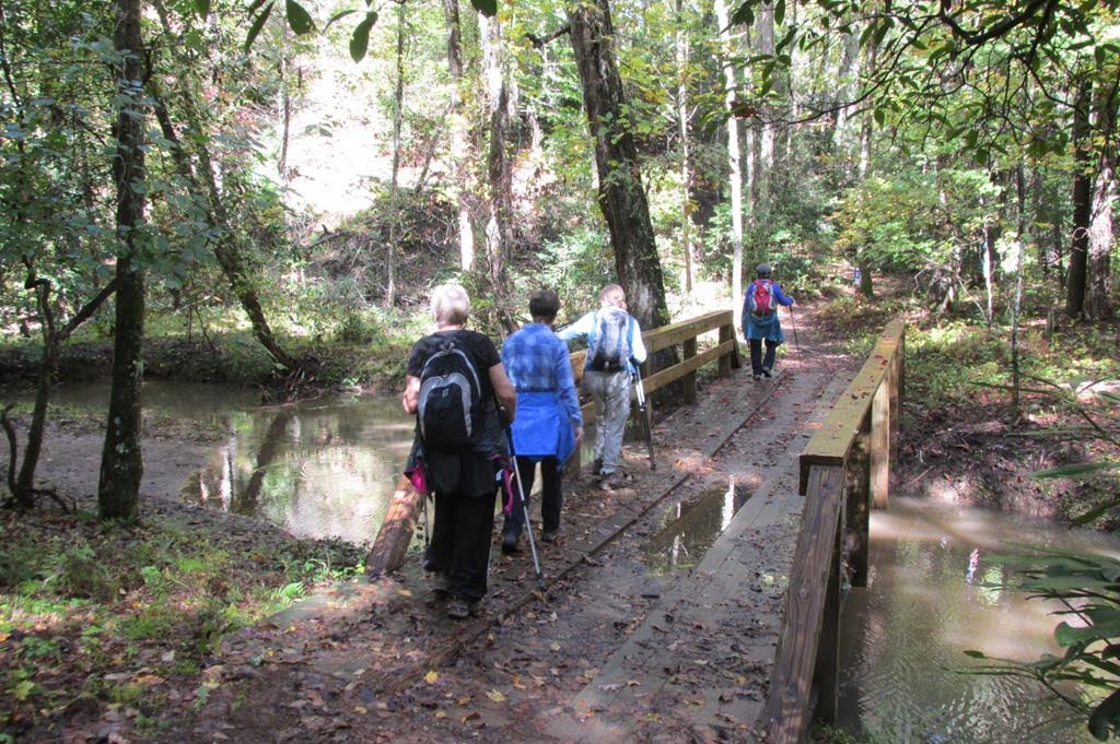 Nice foot-bridge.
