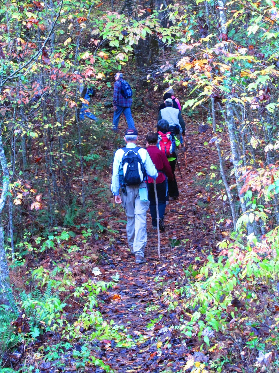 Another great day for a hike!