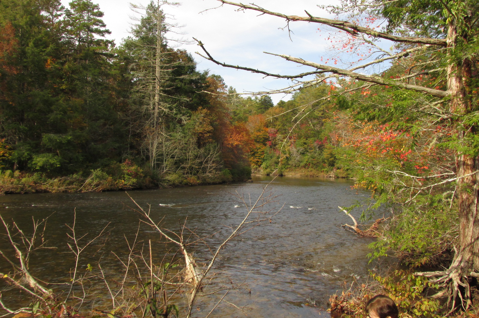 The Chattooga River at Adeline Ford
