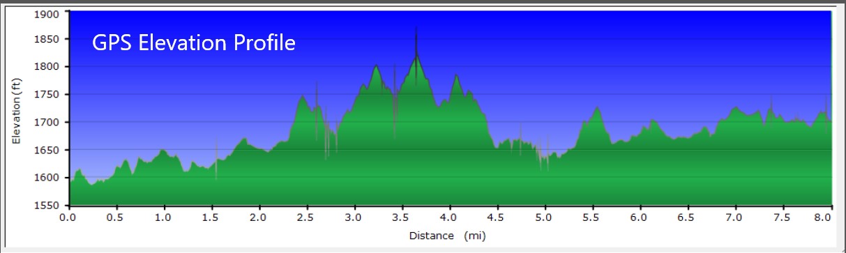 Elevation Profile