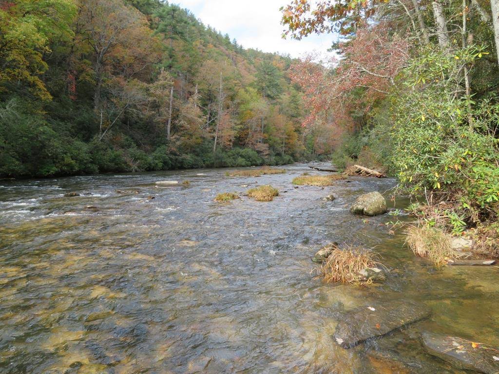 The beautiful Chattooga River!