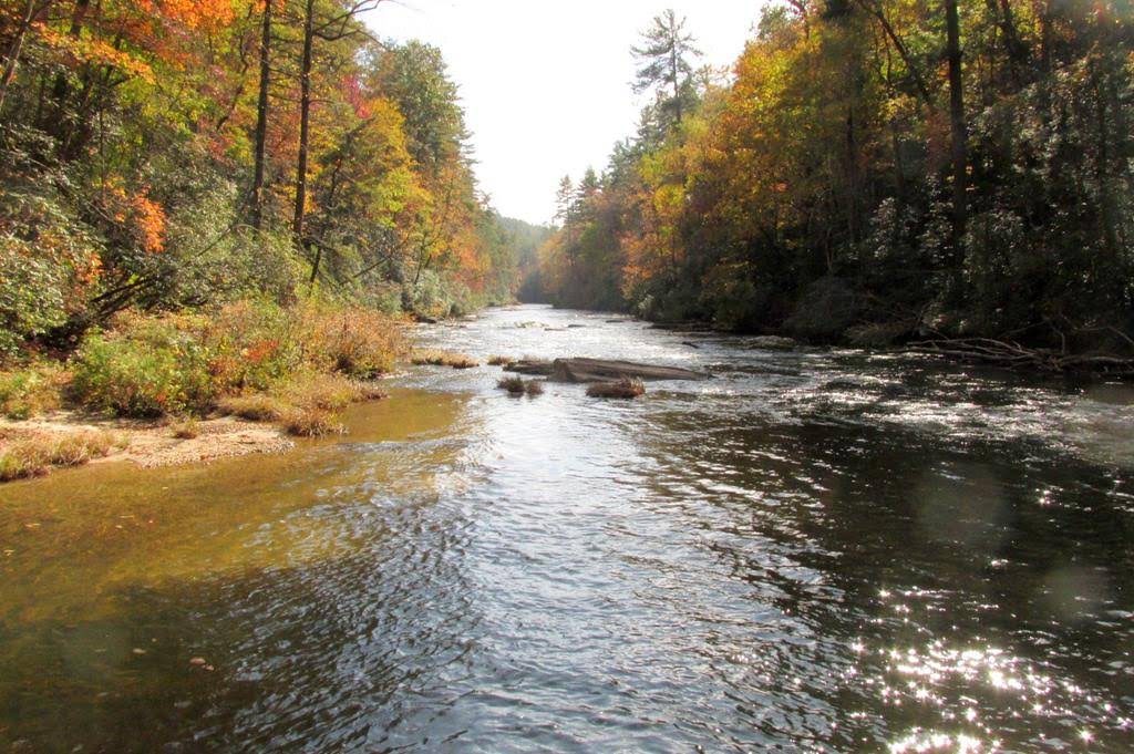 Beautiful Autumn colors today!
