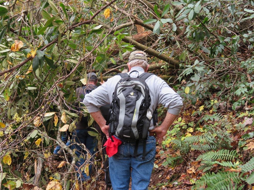 A serious blow down on the trail.
