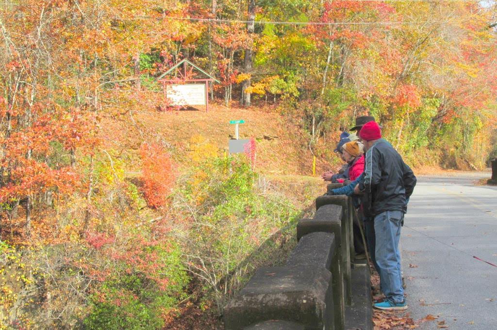 Lots of color all along the hike!