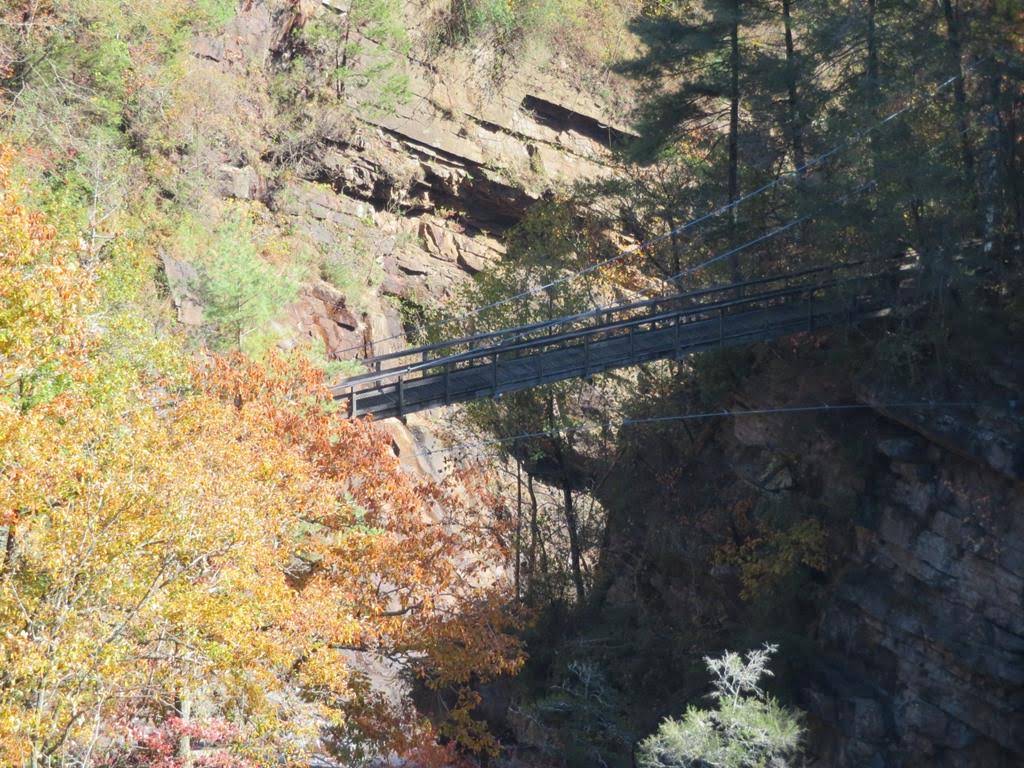 The suspension bridge over the gorge!