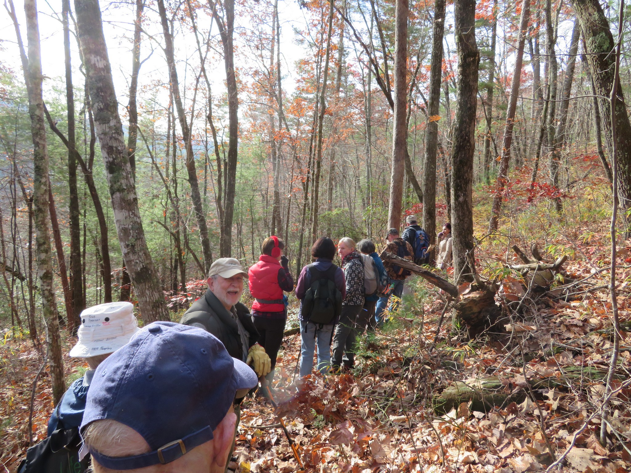 Headed south on the Chattooga River Trail
